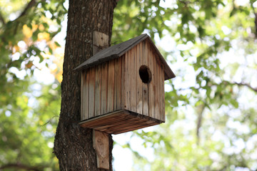Wooden nest box