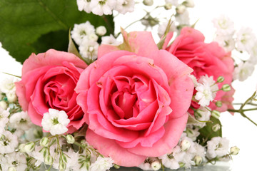 Pink roses in bouquet isolated on white