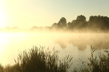 Fototapeta na wymiar Lato rano na brzegu jeziora