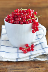Red currant berry in a cup