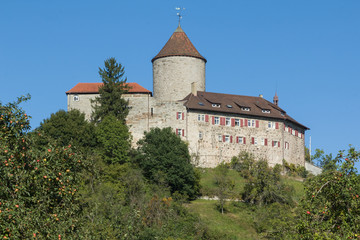 Burg Reichenberg Oppenweiler