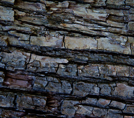 abstract old wooden background