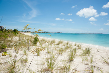 Tropical beach scene.