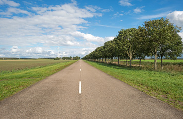Road along a field in summer