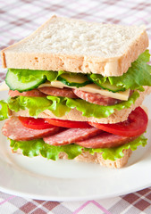 Fresh and tasty sandwich on a white plate 