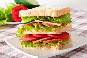 Fresh and tasty sandwich on a white plate 