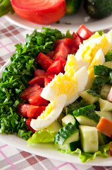 Fresh salad with chicken breast,lettuce, eggs and tomatoes 