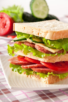 Fresh and tasty sandwich on a white plate 
