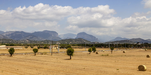 Obraz premium Landscape in Mallorca