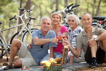 four senior people toasting at picnic