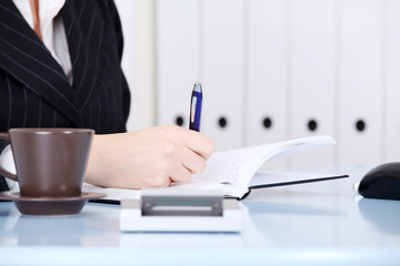 Business woman taking business notes at office