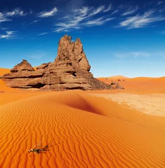Foto op Canvas Saharawoestijn, Algerije © Dmitry Pichugin