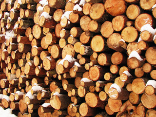 Firewood