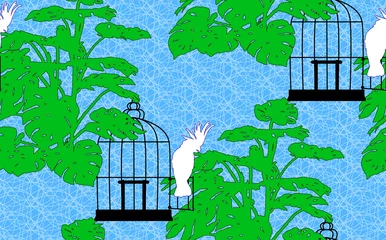 Papier Peint photo Lavable Oiseaux en cages Fond transparent avec perroquet