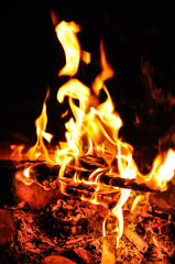 Fototapeta premium flames of campfire