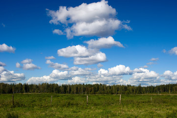 Obraz premium Sky Forest Field