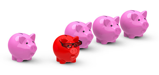 Das coole Sparschwein