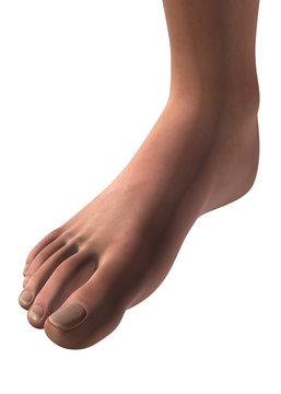 PIEDE - 3D
