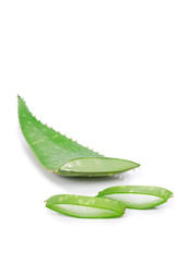 aloès