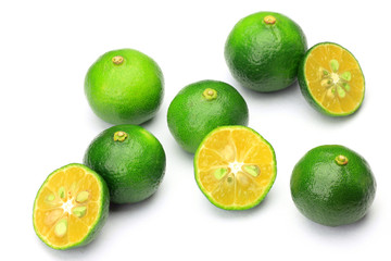 citrus depressa