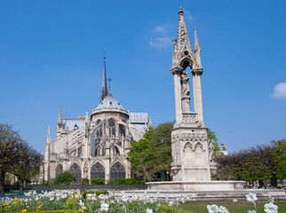 Fototapeta na wymiar Katedra Notre Dame