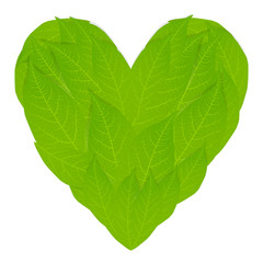 Ecology concept with heart of green leaves vector