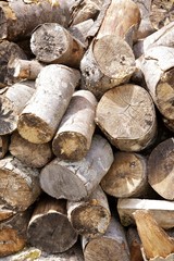 stacked firewood
