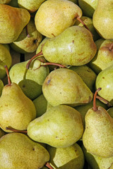 mature green and yellow pears for sale at the market