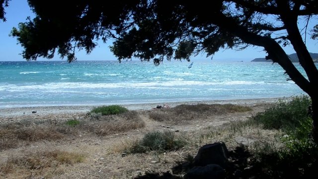 windsurfing at the tropical sea