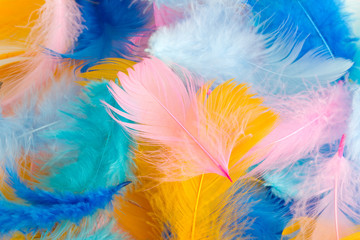 background of multi-colored feathers