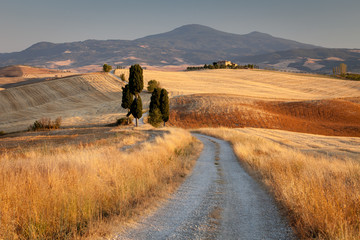 Tuscan countryside at sunset, near Pienza, Tuscany, Italy