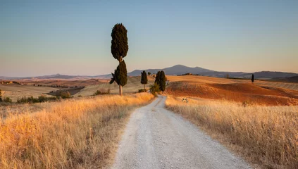 Foto op Canvas Tuscan countryside at sunset, near Pienza, Tuscany, Italy © Selitbul