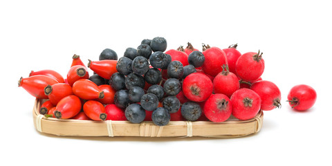 different berries on a white background