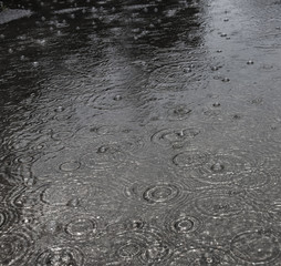 rain on a street