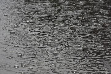 rain background