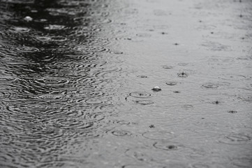 rain on a street  - background