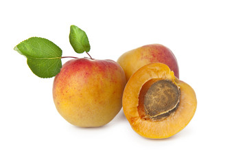 Apricot on a white background