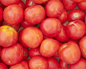 organic raw tomatoes, natural background