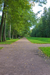 Fototapeta na wymiar path in park