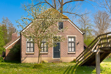 Fototapeta na wymiar Traditional Dutch house