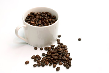 Coffee beans and Coffe Cup