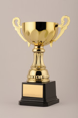 Golden Cup for Champion and winner