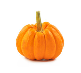 fresh organic pumpkin on white background