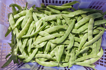 Green beans in the market.