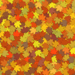 Naklejka na ściany i meble Dywan z liści w kolorach jesieni