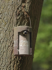 Vogel mit Nistkasten