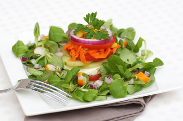 entrée de crudités 1