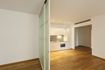 interior empty house with wooden floor, kitchen