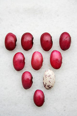Being Different,Natural colorful bean seeds