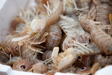 Fresh shrimp